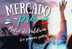 Providencia continúa con su previa dieciochera con Mercado Pro Pedro de Valdivia