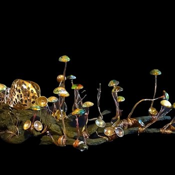 Gabriela Fontana inaugura en Montecarmelo “Orfebrería Fungi: Pieles que Nacen de lo Muerto”