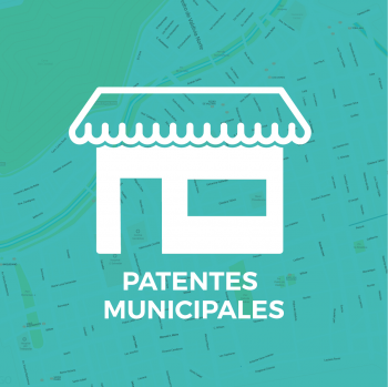 Mapa Patentes Municipales