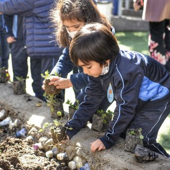 Providencia plantará especies sustentables en sus colegios municipales