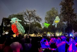 Proviluz: Espectáculo lumínico en Parque de las Esculturas