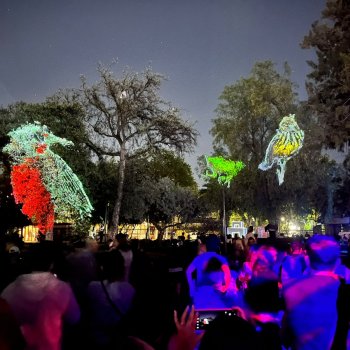 Proviluz: Espectáculo lumínico en Parque de las Esculturas