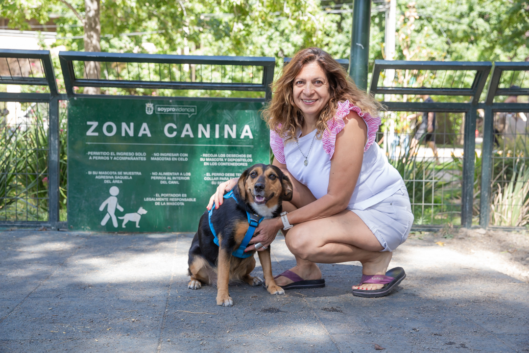 cómo se inicia un parque comunitario para perros