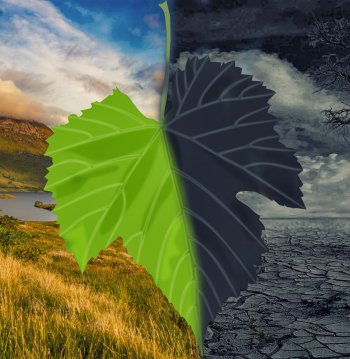 Taller lúdico: "El mural del clima"