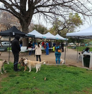 Operativo “Activando Providencia” – Comunidad El Bosque 2218