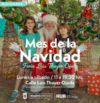 Mercado Luis Thayer Ojeda