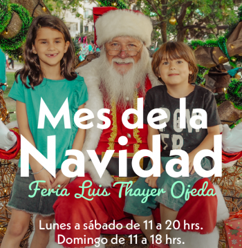 Mercado Luis Thayer Ojeda
