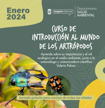 Cursos de introducción al mundo de los artrópodos