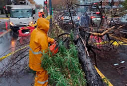 Equipos municipales desplegados en terreno