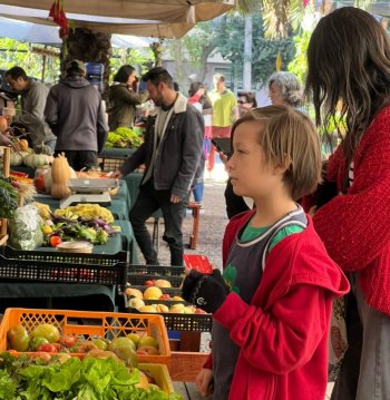 Mercado Verde Urbano
