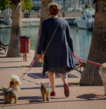 Ruta Pet Friendly