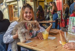 Barrio Italia se convierte en el destino ideal para mascotas con la Ruta Pet Friendly