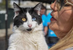 Ruta Pet Friendly en Barrio Italia: Mascotas y sus dueños disfrutaron a pesar del frío