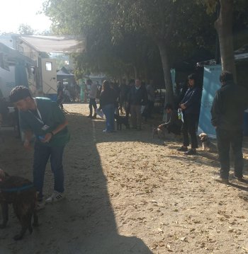Operativo "Activando Providencia"- Comunidad Quillay 2515 (Exclusivo para comunidad)