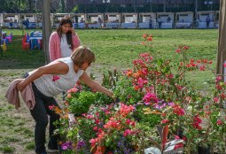 Se viene “Eco Fest 2024” con grandes sorpresas para toda la familia