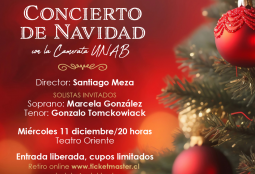 Concierto de Navidad con la Camerata Universidad Andrés Bello