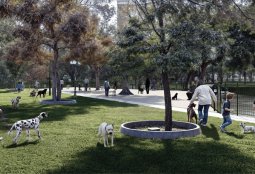 Comienzan obras de mejoras en Zona Canina Parque Inés de Suárez