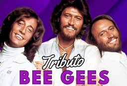 Tributo Bee Gees