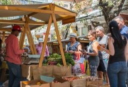 Mercado Drugstore celebra 11 años promoviendo hábitos de consumo saludable