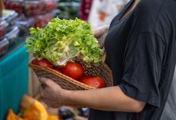 Ferias y mercados de la comuna: Cómo funcionarán durante febrero