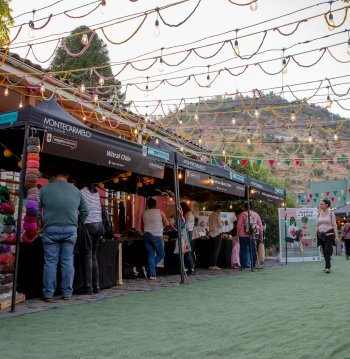 Festival de la Lana