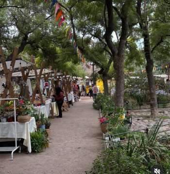 Gata Feria