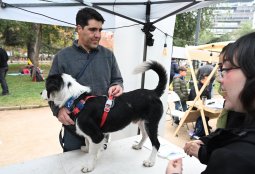 Estos son nuestros operativos veterinarios preventivos en terreno durante junio