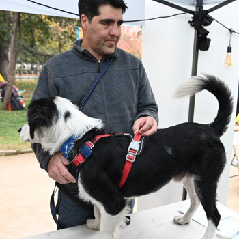 Estos son nuestros operativos veterinarios preventivos en terreno durante junio