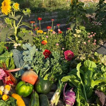 Semillas, saberes y sabores: el Festival de la Cosecha se celebra en Providencia