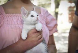 Revisa las fechas de los operativos veterinarios preventivos de julio