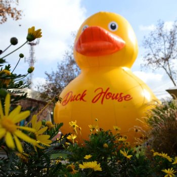 ¡No viene solo! El Pato gigante vuelve con una bañera de patitos y juegos en Barrio Italia