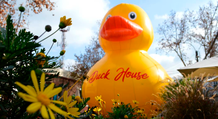 ¡No viene solo! El Pato gigante vuelve con una bañera de patitos y juegos en Barrio Italia