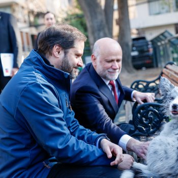 Lanzan consulta ciudadana para actualizar la Ley Cholito en conjunto con operativo veterinario preventivo en Providencia