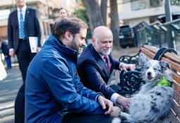 Lanzan consulta ciudadana para actualizar la Ley Cholito en conjunto con operativo veterinario preventivo en Providencia