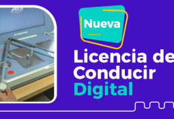 Atención vecinos: parte agendamiento de horas para la nueva Licencia de Conducir Digital