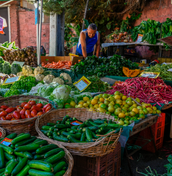 Ferias Libres (Santa Isabel; Santa Maria; Los Concilios)