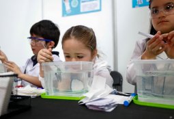 La ciencia y la creatividad se toman la XI Feria Científica Escolar de Providencia