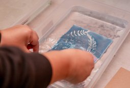 Taller de Cianotipia sobre papel