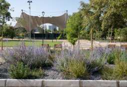 Comienza renovación del toldo del Anfiteatro del Parque Bustamante