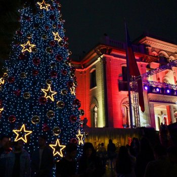 Más de 3.500 vecinos disfrutaron del encendido de árbol de navidad del Palacio Falabella