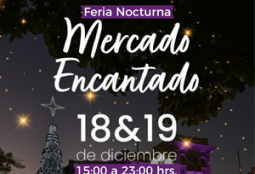 Feria nocturna Mercado Encantando