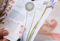 Biblio Corea Taller de Jongijeopgi: manualidades con papel