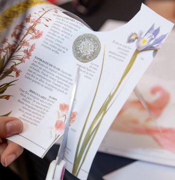 Biblio Corea Taller de Jongijeopgi: manualidades con papel