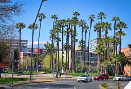 Se inician obras de remodelación en plaza Juan XXIII de Providencia