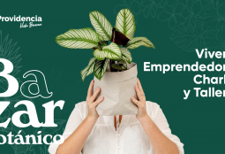 Bazar Botánico: viveros, emprendedores, charlas y talleres