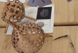 Taller de Experiencia Creativa: Conociendo Las Microalgas