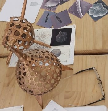 Taller de Experiencia Creativa: Conociendo Las Microalgas