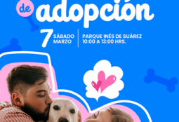 Jornada de adopción