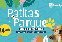 Panorama entretenido y familiar: este sábado 14 inicia ''Patitas al Parque'' en Inés de Suárez