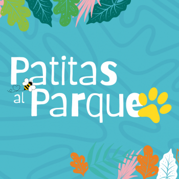 Panorama entretenido y familiar: este sábado 14 inicia ''Patitas al Parque'' en Inés de Suárez